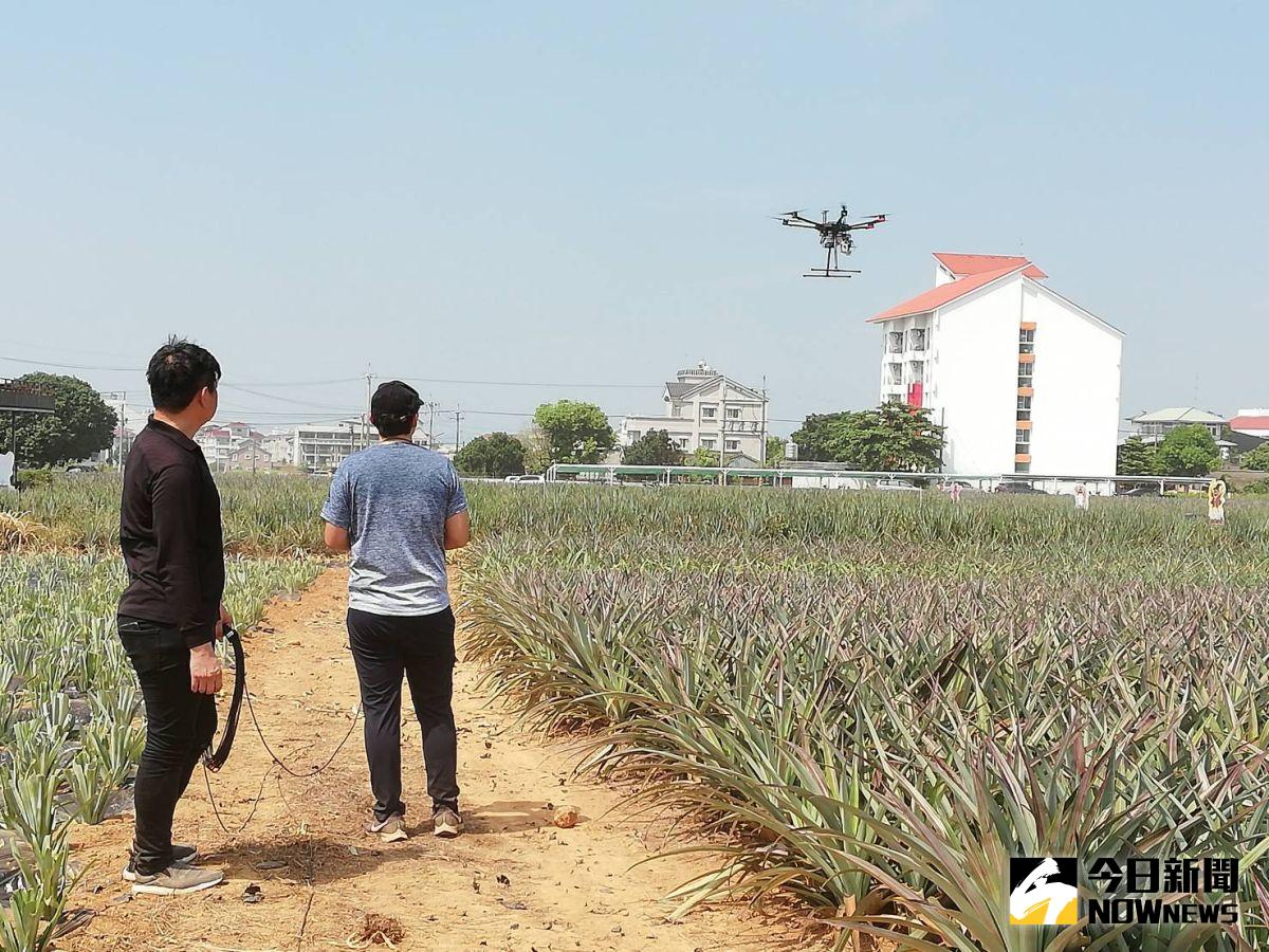 ▲無人機作為載具透過結合多光譜分析及邊緣運算技術，10分鐘就可以完成一分地的田間拍攝任務。（圖/記者邱嘉琪攝，2020.09.29）
