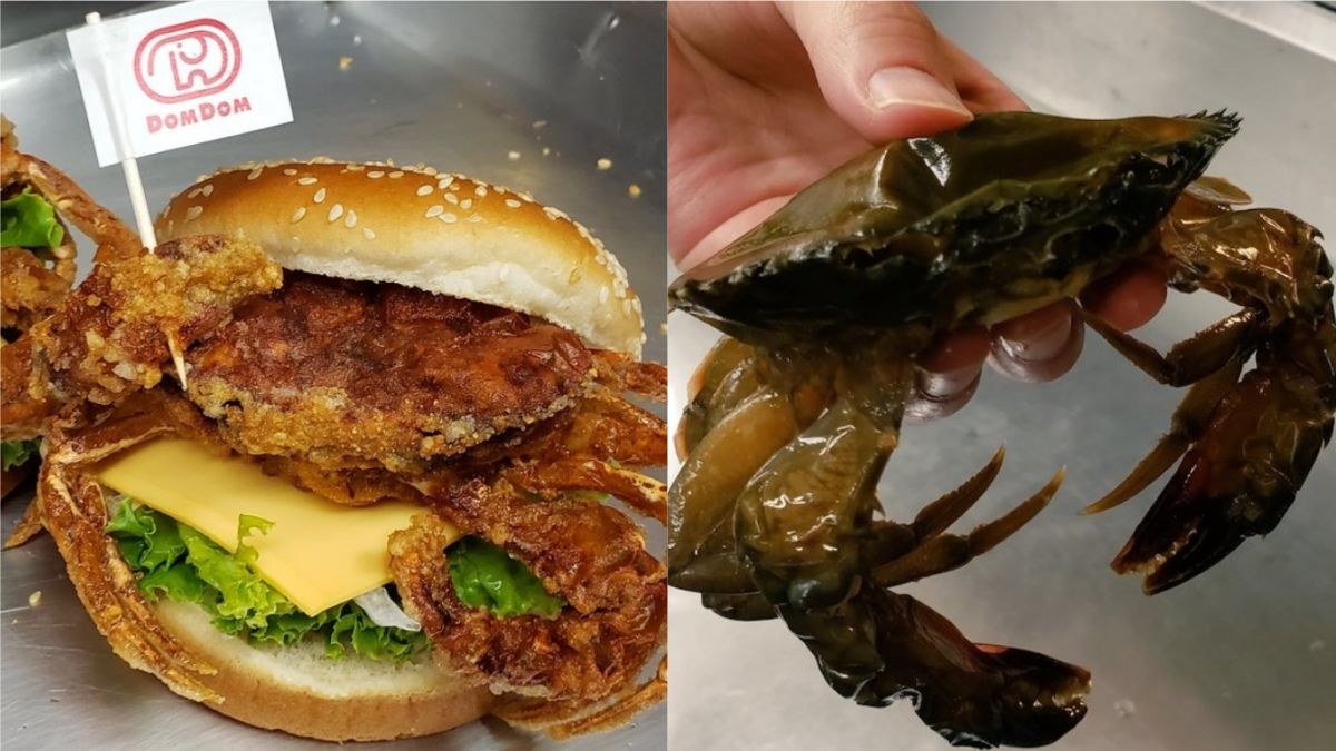 ▲（圖／翻攝自推特）