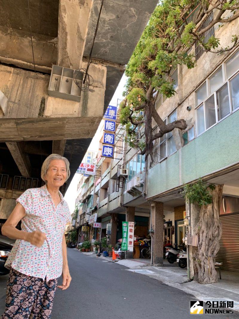 ▲彰化市中華西路陸橋下有棟「與樹共生」的民宅。(圖/記者陳雅芳攝)