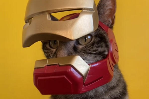 奴才為虎斑貓3D列印「鋼鐵喵」頭盔　維護和平就靠牠！
