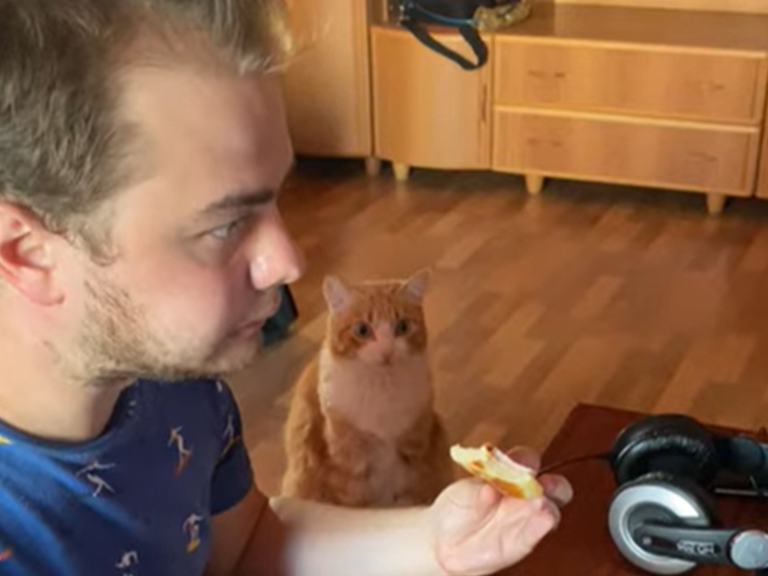 正當主人在吃早餐，橘白貓呆坐在一旁猛盯眼前的食物。（圖／翻攝自Youtube@ViralHog）