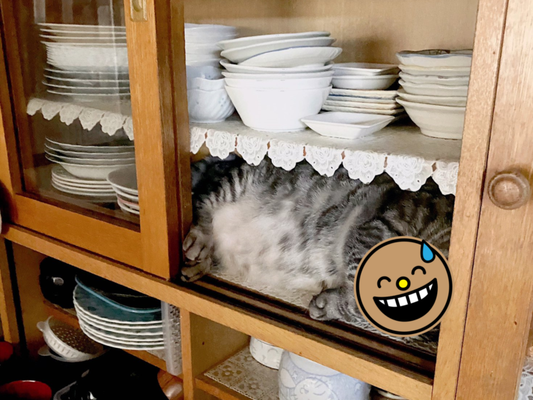 一名主人想吃冰淇淋走進廚房，意識到不對勁時竟發現碗盤櫃長出貓來。（圖／Twitter@nezy55）