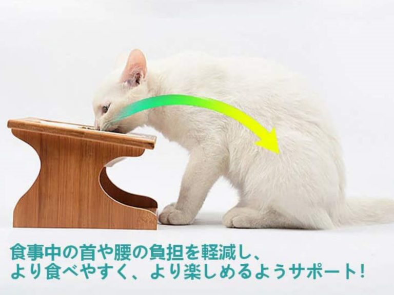 買貓餐桌希望能好好用　實測結果網笑：照你想的我還叫主子？
