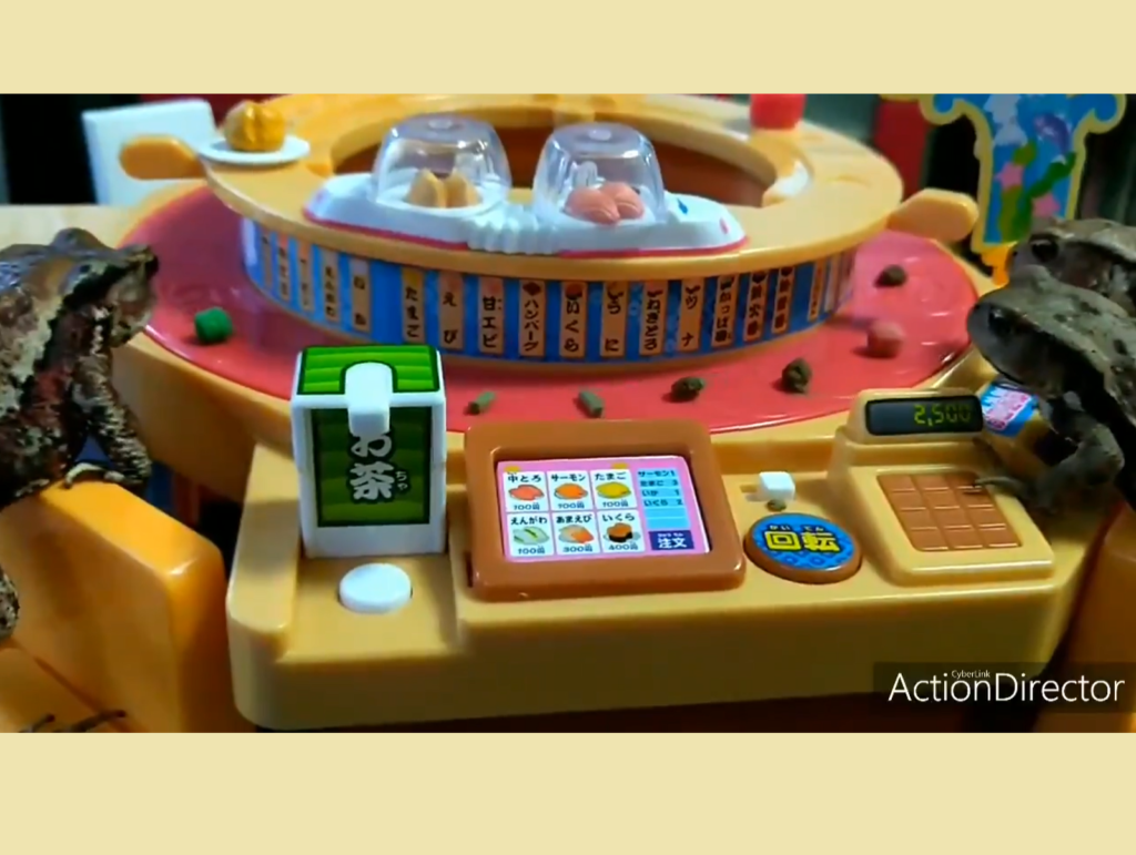 日本一名推主為蟾蜍打造出迴轉壽司的用餐環境，大秀創意！（圖／Twitter@KERONPAS_）