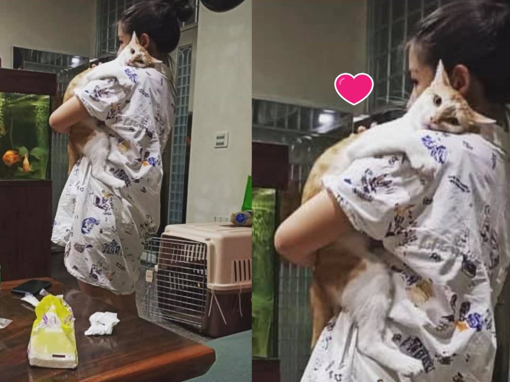 橘白貓在奴才度假回家後一臉委屈地抱緊緊（圖／網友Lynda Y. Hsu授權提供）