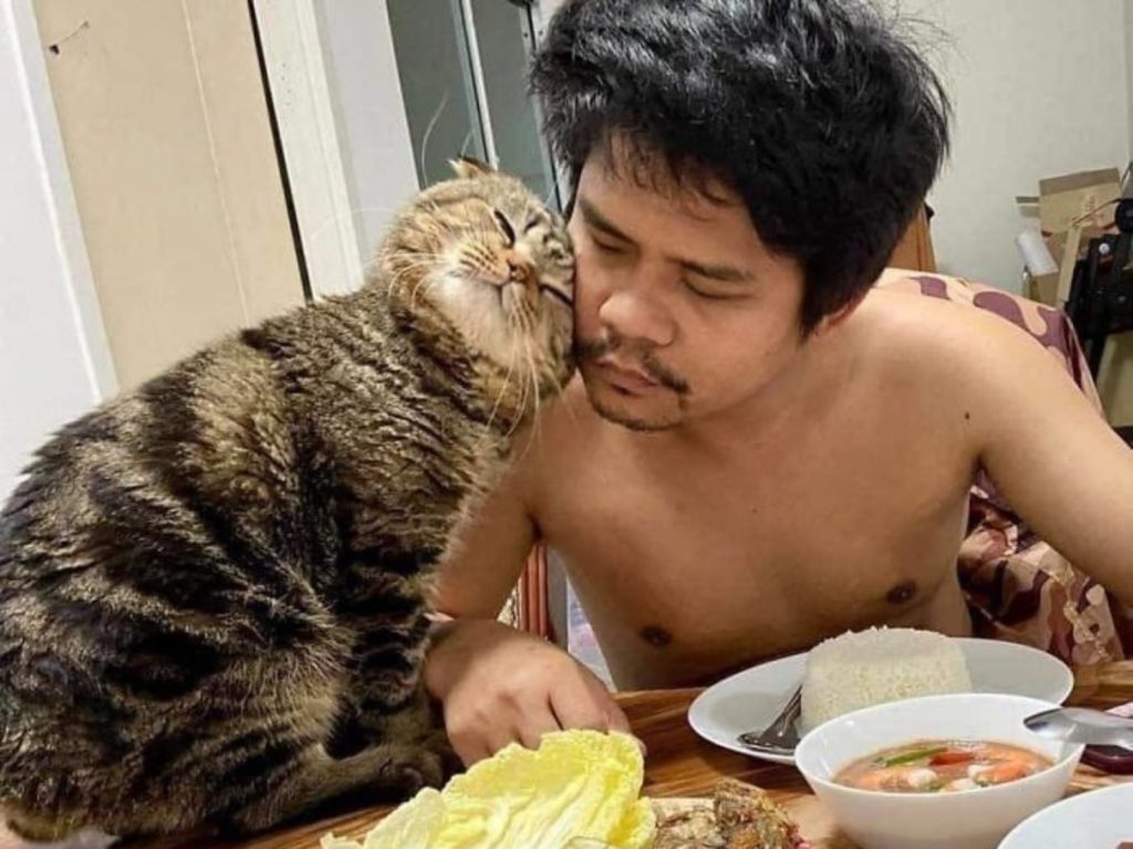 泰國女子娜絲琳日前揭露自家貓咪賈維斯（Jarvis）和丈夫放閃的畫面，賈維斯簡直就是最強小三。（圖／Nasrin Hami） 