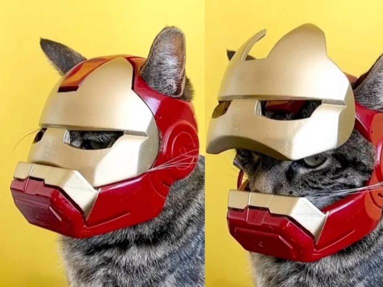 法國一名貓奴為虎斑貓以3D列印技術，打造特製的「鋼鐵喵」頭盔（圖／IG@mon_copain_ray）