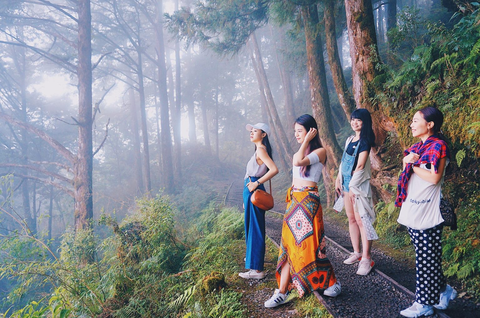 ▲The best place to take photos at the Taipingshan Jianqing Huaigu Trail is most definitely the old moss-covered railway tracks.（圖/@wynnchang提供／Instagram)