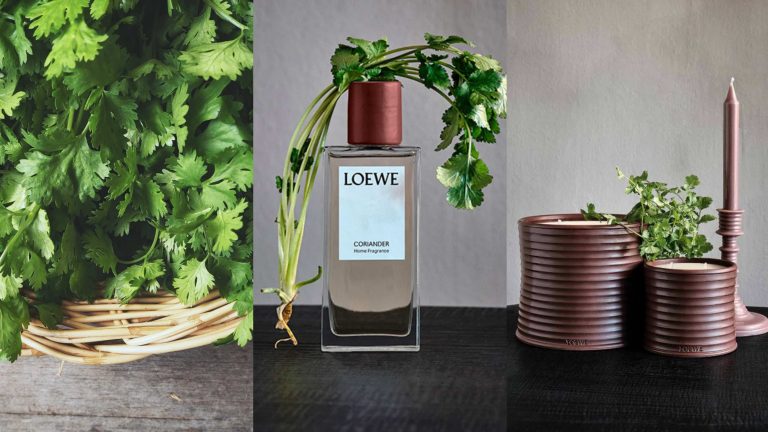 ▲LOEWE推出香菜居家香氛。（圖／LOEWE官網、Shutterstock） 