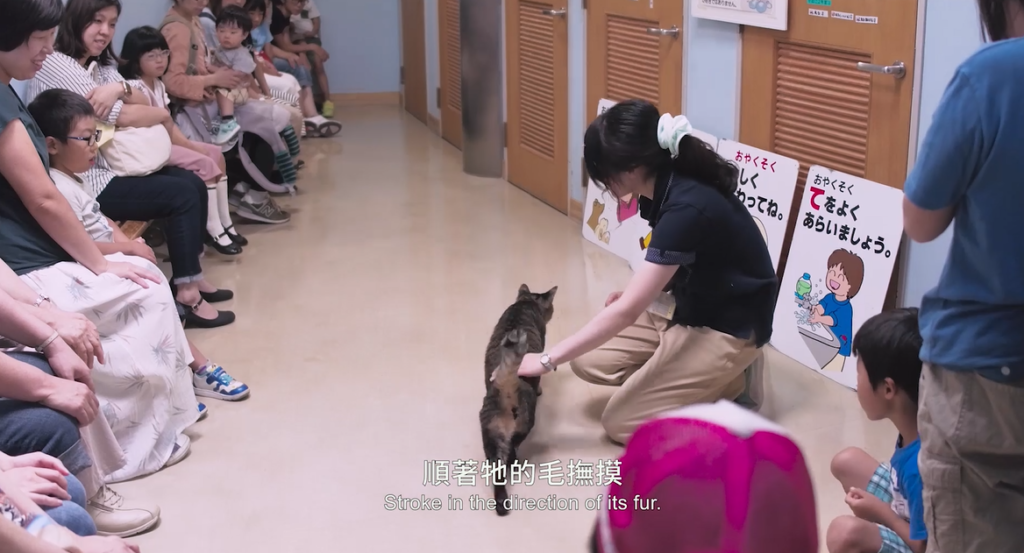 團隊參訪日本動物生命教育課程（圖／縫影子宇宙有限公司）