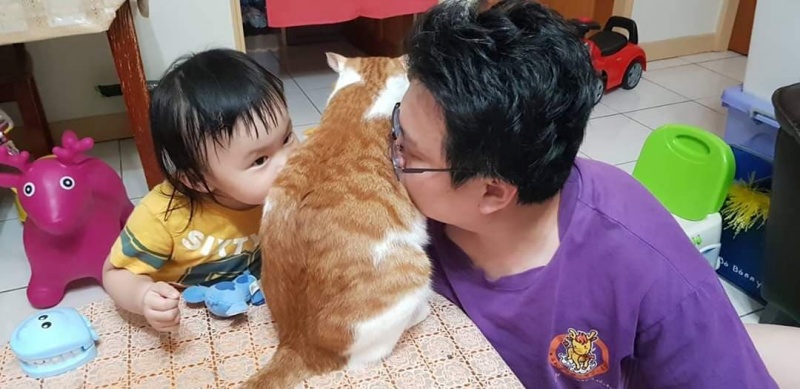 妹妹經過鍾先生的「貓奴教育」，也開始學會和把拔一起吸貓。（圖／網友鍾宏玠提供） 