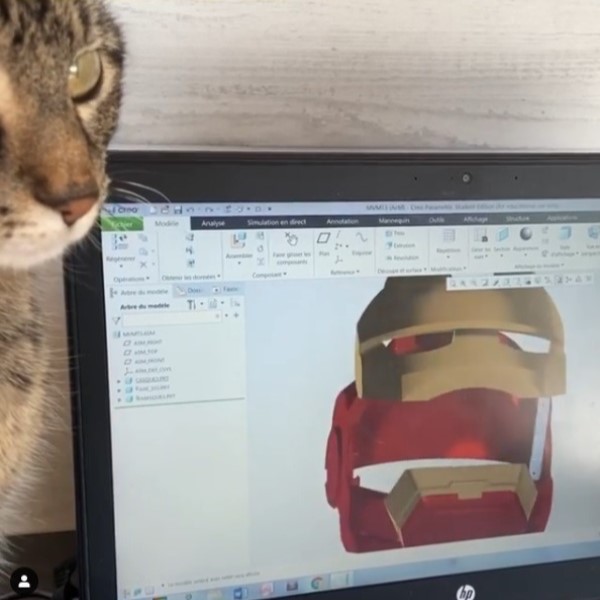 奴才為虎斑貓3D列印「鋼鐵喵」頭盔　維護和平就靠牠！