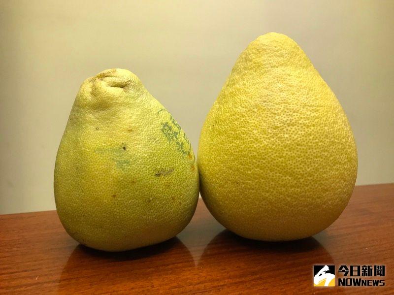 ▲一年一度的中秋節即將到來,大家除了吃月餅、鳳梨酥外,也會應景買些柚子來吃。(圖/記者康子仁攝)