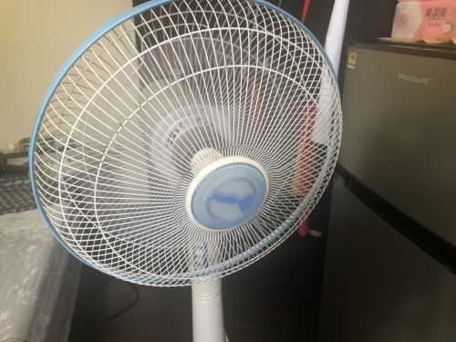 ▲電風扇如果定期清洗的話,搭配冷氣吹起來非常涼爽!(圖/記者張嘉哲攝) ▲電風扇如果定期清洗的話,搭配冷氣吹起來非常涼爽!(圖/記者張嘉哲攝)