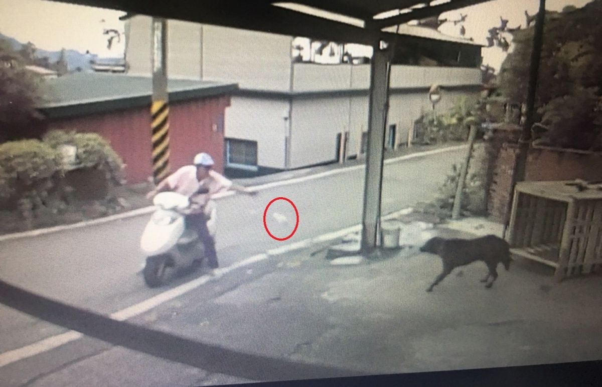 ▲飼主家中監視器錄到騎淺色機車男子停下，從腳踏板拿出一袋食物（紅圈處）丟給小黑狗。（圖／記者簡勇鵬翻攝，2020.10.03）
