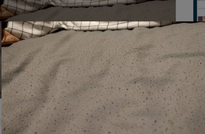▲原PO發現女友的床上有許多黑點。（圖／翻攝Dcard）
