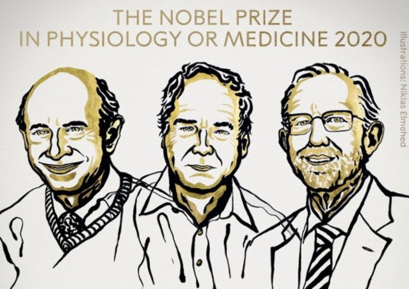 ▲3位英美學者艾爾特、霍頓、萊斯（左起）共獲本屆諾貝爾醫學獎。（圖／取自Twitter@NobelPrize）