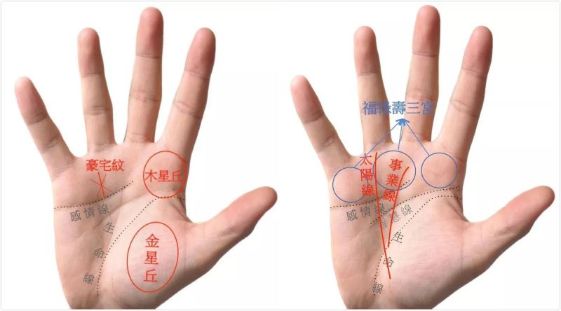 ▲艾菲爾老師分享有住豪宅命的手相。（圖／翻攝自臉書《塔羅牌老師艾菲爾》）