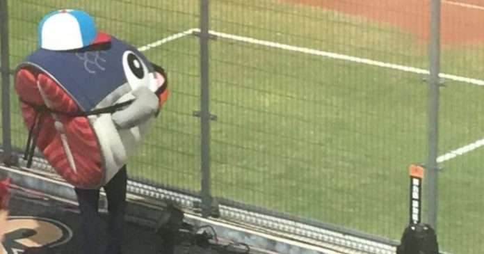 ▲圖／取自Reddit u/Mikeycito22