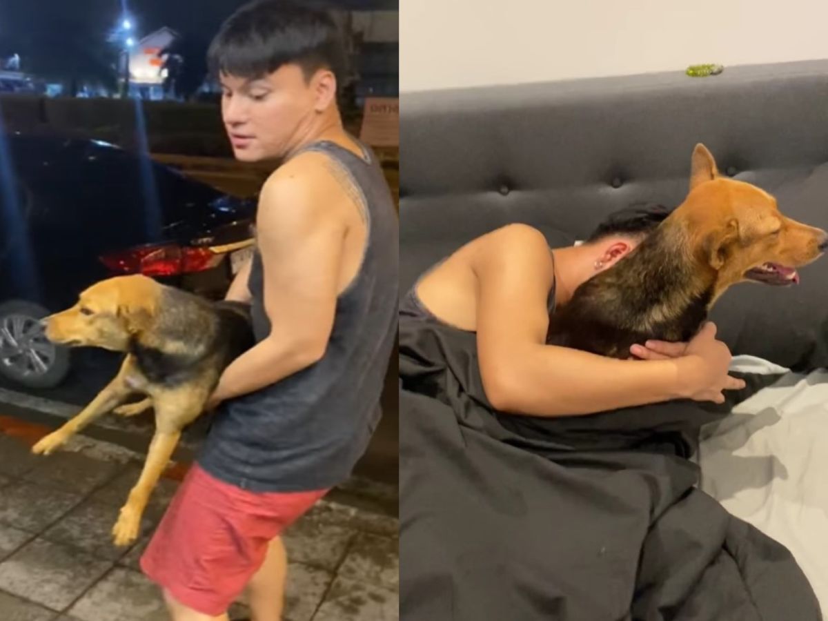 ▲泰國一名男子喝醉後綁架浪汪回家陪睡（圖／FB@Yutthaphum Kaewekhem）