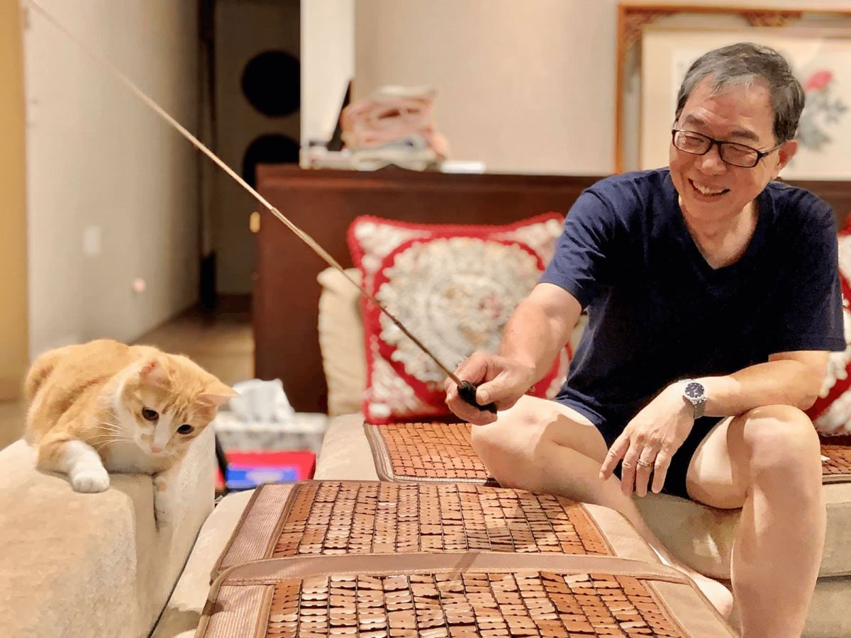 ▲傲嬌爸當初說不准養貓，後來卻漸漸被貓咪收服，變成一名職業貓奴！（圖／FB@傲嬌爸的養貓日常）