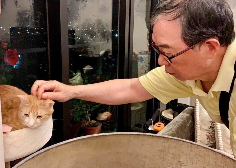 ▲傲嬌爸嘴硬卻會偷摸Uni(圖/FB@傲嬌爸的養貓日常)