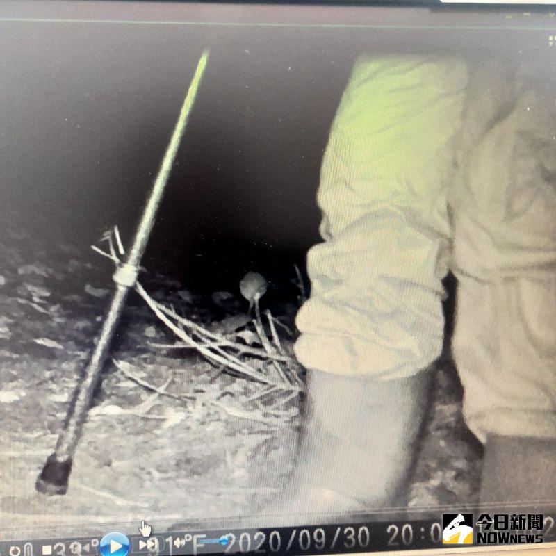 ▲嫌犯拐杖疑似就是用來抵禦犬隻。(圖/記者陳雅芳翻攝,2020.10.08)