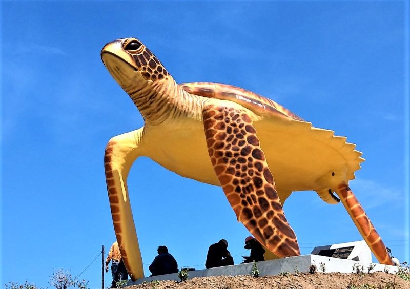 望而心安！巨大綠蠵龜造型成遊客拍照打卡景點
