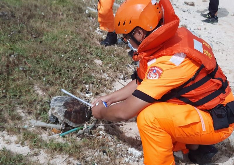 ▲死亡的玳瑁背甲長44公分、寬27公分,由於屍體已嚴重腐壞,研判死亡時間至少3日以上。(圖/澎湖岸巡隊提供)