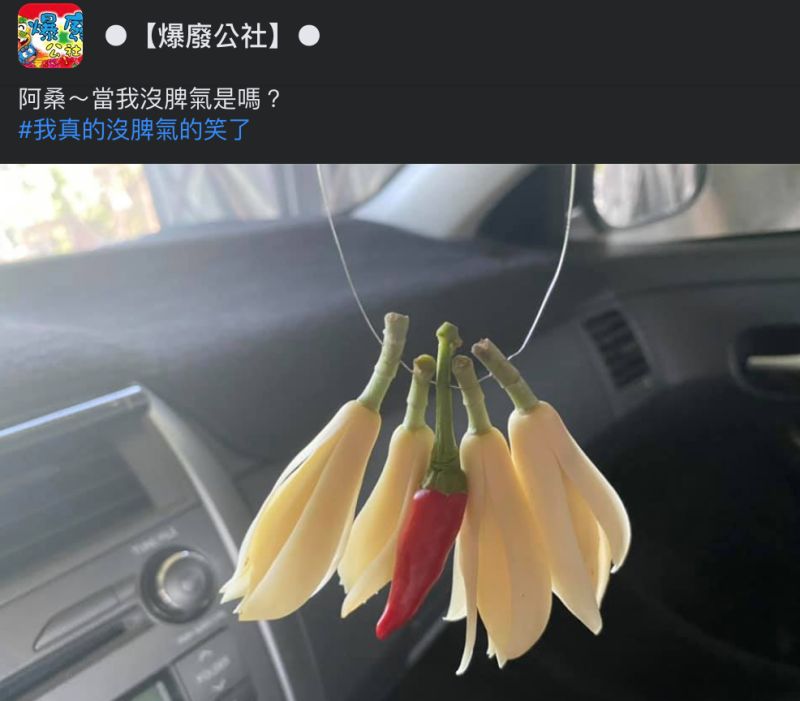 ▲網友向阿桑購買的玉蘭花裡面，竟然藏了支辣椒，讓大家笑翻。（圖／翻攝自《爆廢公社》臉書）