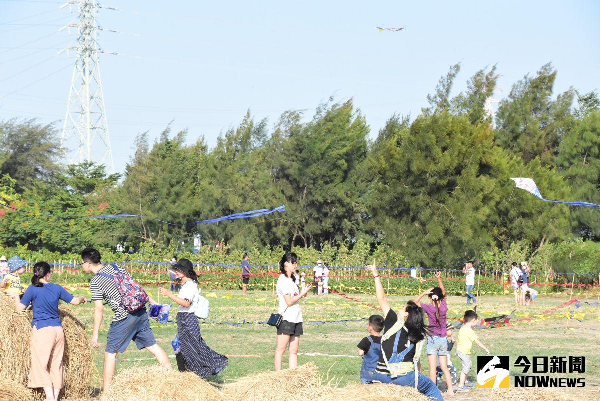 ▲二林鎮公所首次舉辦大型風箏節活動，風箏達人也帶來難得一見的造型風箏、競技風箏，20多種花樣令人目不暇給，現場驚呼聲不斷。（圖／記者陳雅芳攝，2020.10.11）