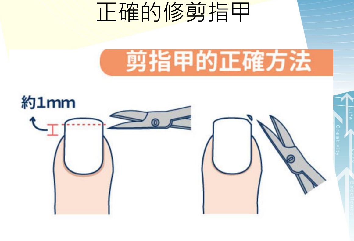 ▲要有正確的修指甲方法。（圖／記者蘇榮翻攝，2020.10.13）