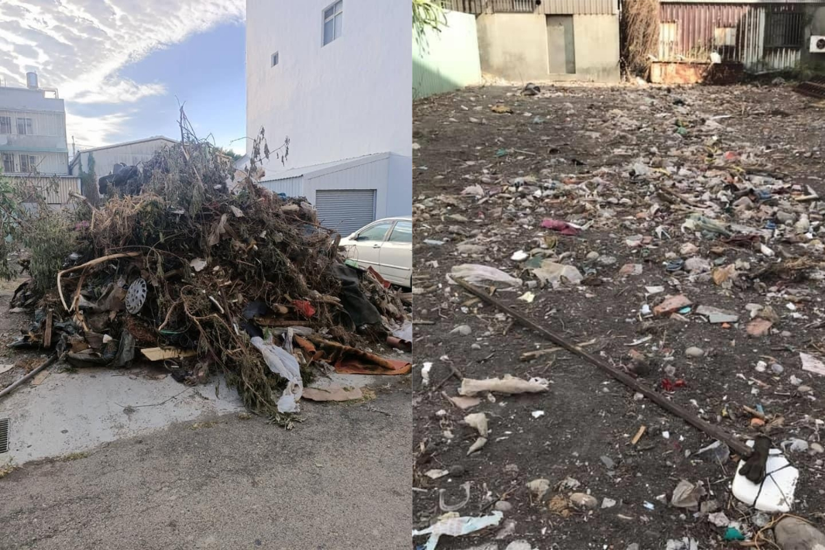 ▲鄰居偷用土地種植花草，離開後竟留下一座小山。（圖／翻攝自《爆料公社》 ） 