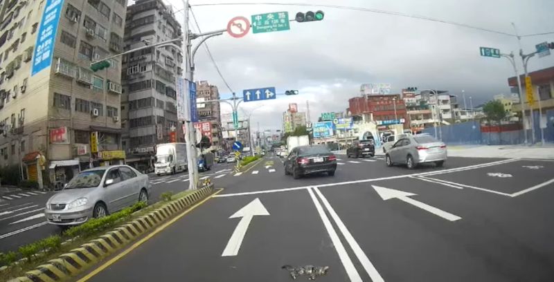 ▲土城的中央路三段、永安路口發生貓咪車禍意外(圖/新北市政府警察局土城分局–土城交通分隊)