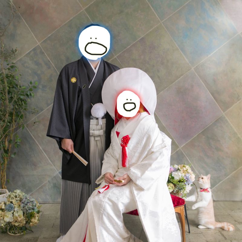 ▲推主翻出一年前拍的婚紗照,看到好奇貓可愛行為覺得回憶滿滿!(圖/Twitter@OKAKI_205)