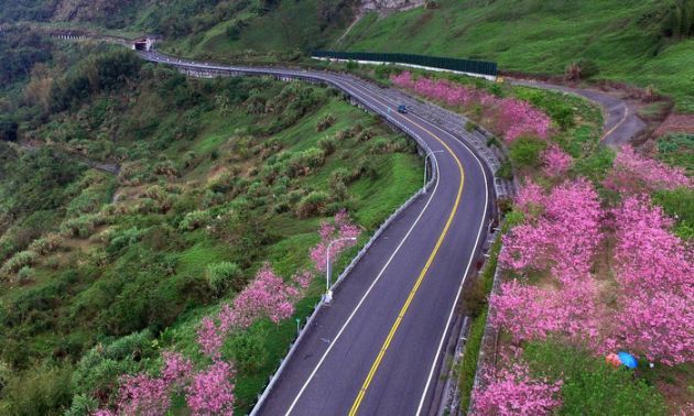 ▲公路總局以「道法自然-阿里山公路的景觀營造」(台18線85k~95k),參加獲國際景觀建築師協會亞太區分會舉辦的國際景觀景賽「經濟可行性類」,獲榮譽獎。(圖/公路總局提供)