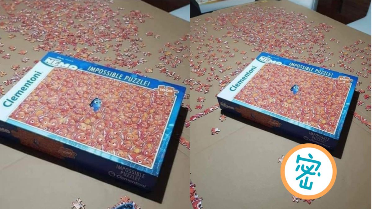 ▲網友挑戰1000片的海底總動員拼圖，但只完成這一部份就喊投降了。（圖／翻攝自《爆廢公社公開版》）