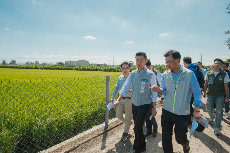 ▲陳吉仲在市長林智堅陪同下,視察新竹市香山區農田停灌狀況,他呼籲農友盡早「割捨」。(圖/記者金祐妤攝,109.10.19)
