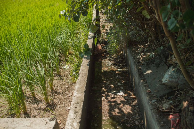 ▲今年由於未有颱風，導致國內部分地區嚴重缺水。（圖/NOWnews資料照）