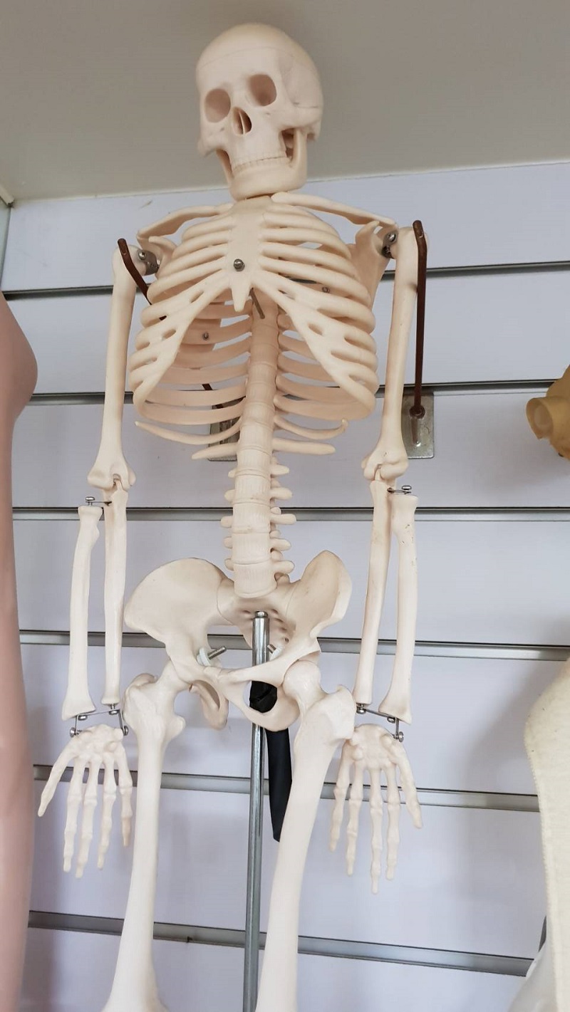 ▲攝影師取景拍照驚見白骨(示意圖／記者鄧力軍攝)