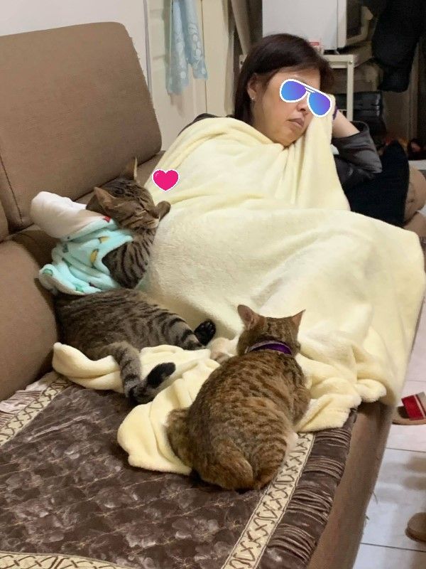 ▲小庫平時最愛黏阿嬤,還會在她回家時迎接(圖/網友兵兵授權提供)