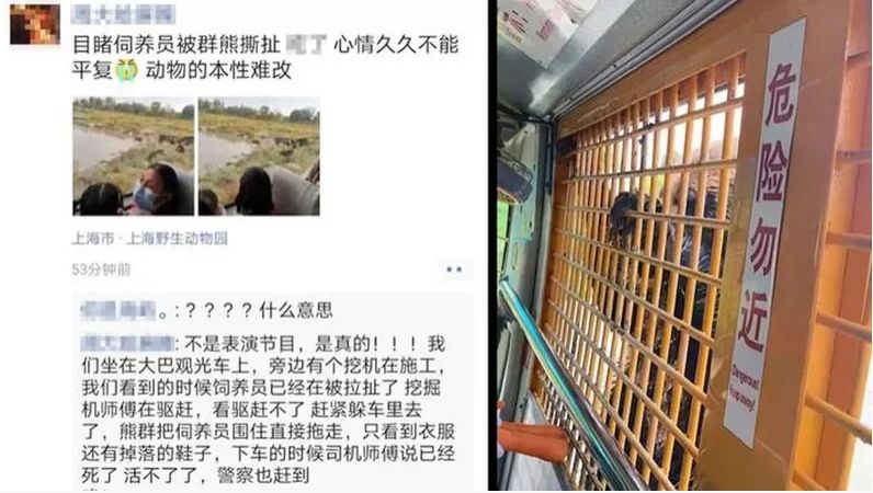 飼育員遭 5隻熊拖走 撕咬喪命 上海野生動物園急關閉 全球 Nownews今日新聞 飼育員遭 5隻熊拖走 撕咬喪命 上海野生動物園急關閉 全球 Nownews今日新聞