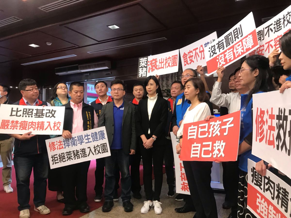 ▲多名藍委與民眾黨黨團、時代力量黨團共同對管理學校營養午餐的《學校衛生法》提出修正案。（圖／記者黃仁杰攝,2020.10.21）