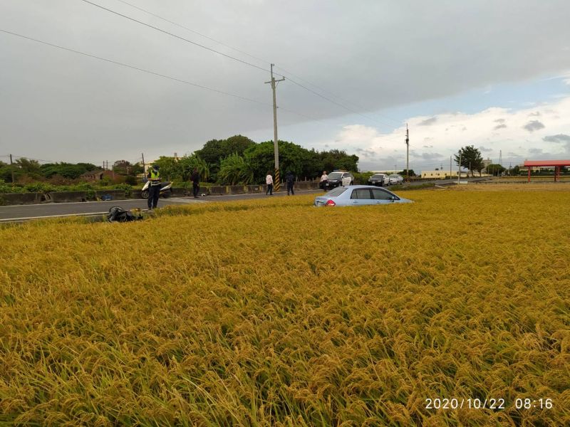 ▲機車與轎車相撞，連人帶車摔進旁邊稻田，駕轎一時緊張也直駛進了稻田。（圖／記者陳雅芳翻攝，2020.10.22）