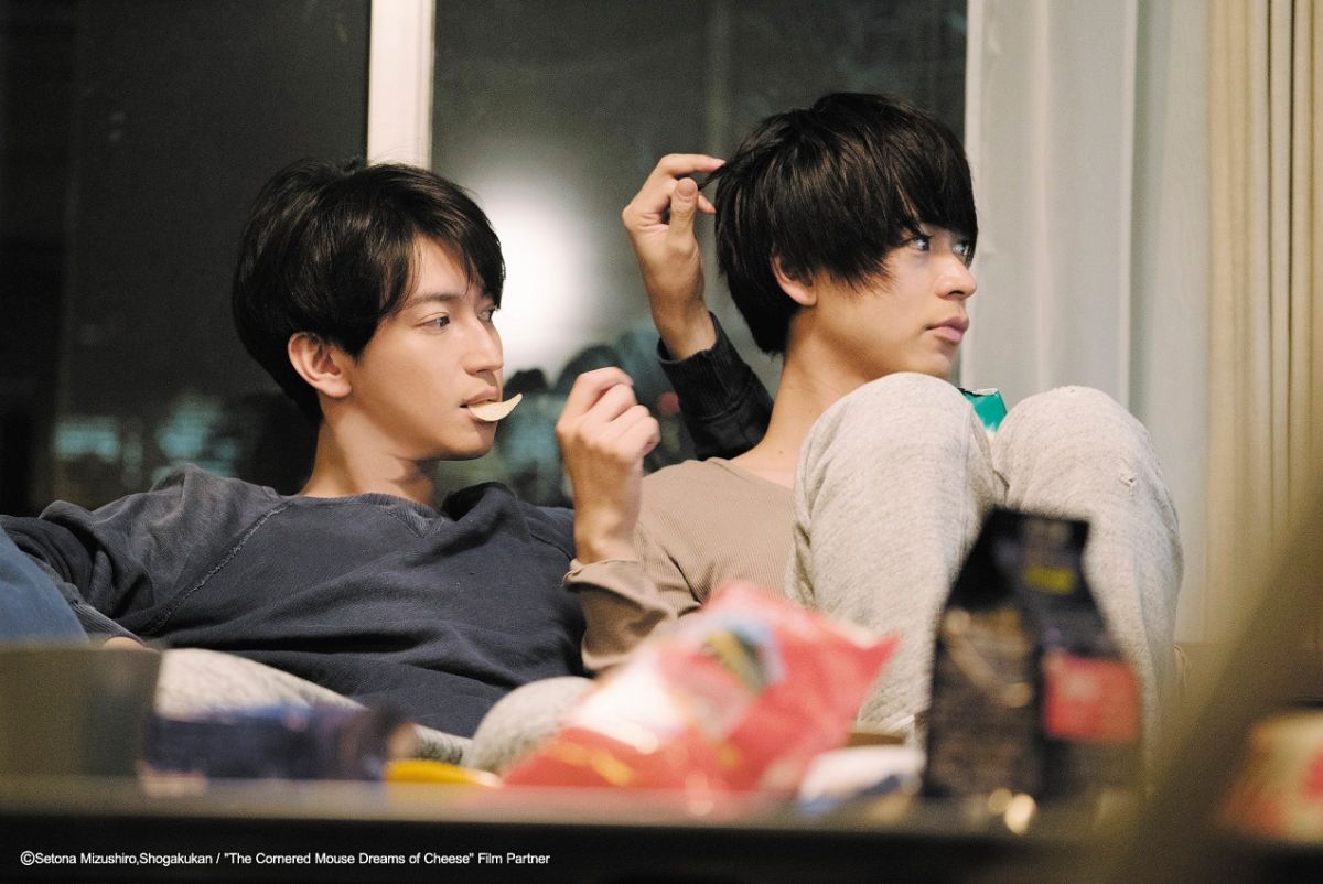 ▲成田凌（右）片中告白大倉忠義。（圖／車庫娛樂）