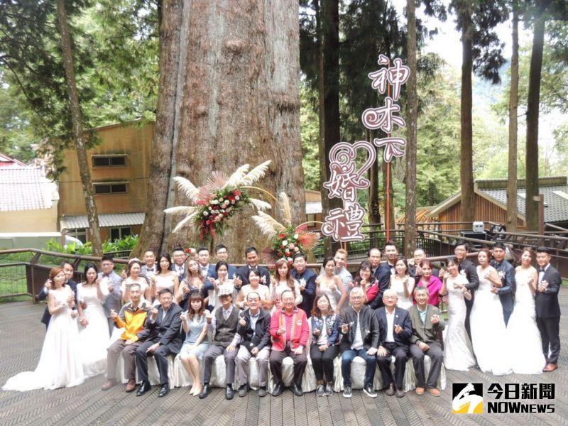 ▲阿里山國家風景區管理處在香林神木下舉辦的浪漫婚禮，今年為15對新人證婚完成終身大事。（圖/記者任禮清攝，2020.10.25）