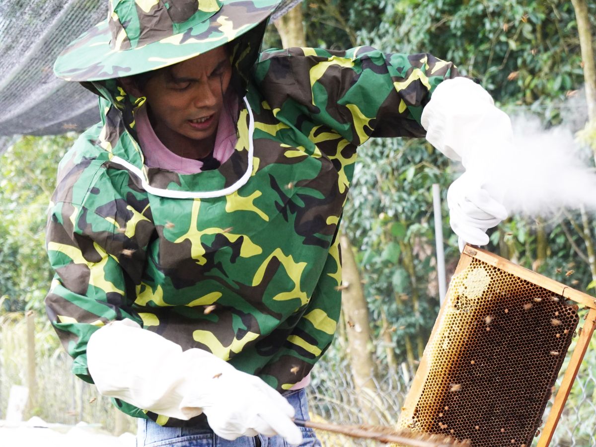▲阿翔險遭螫傷。（圖／民視提供）
