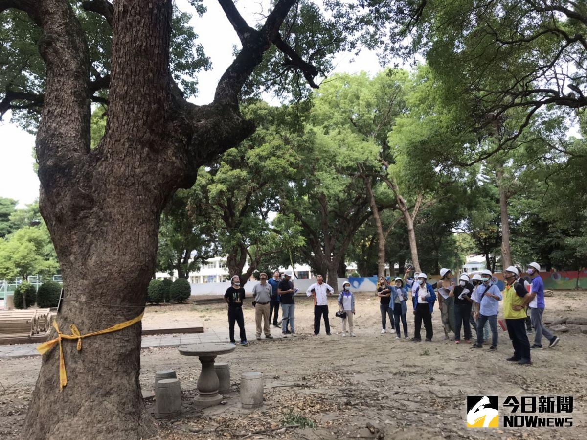 ▲溪州鄉公所爭取經費改善溪州森林公園內環境，卻傳出「移樹爭議」，營建署邀集相關單位做工程說明，並進入園區內做重點式會勘。（圖／記者陳雅芳攝，2020.10.29）