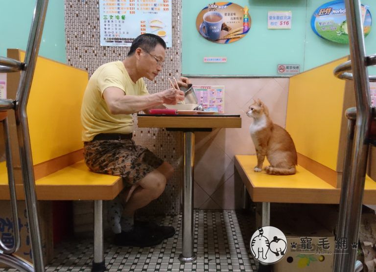 ▲小斑喜歡陪爸爸吃飯,看別人吃比較香~(圖/大斑小斑授權提供)