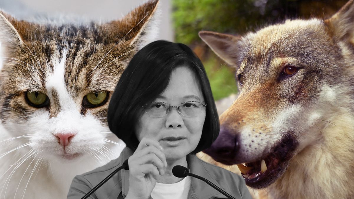 ▲ (圖／推特）